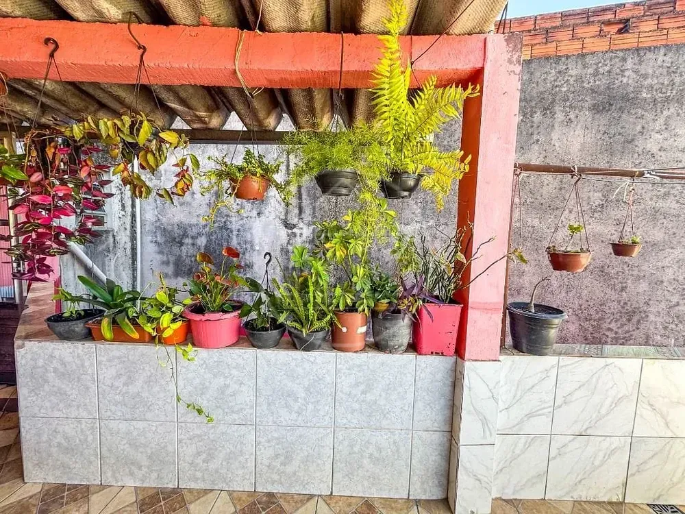 Casa, 7 quartos, 350 m² - Foto 4