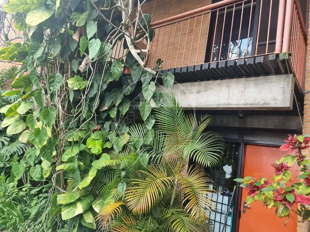 Casa, 4 quartos, 365 m² - Foto 5
