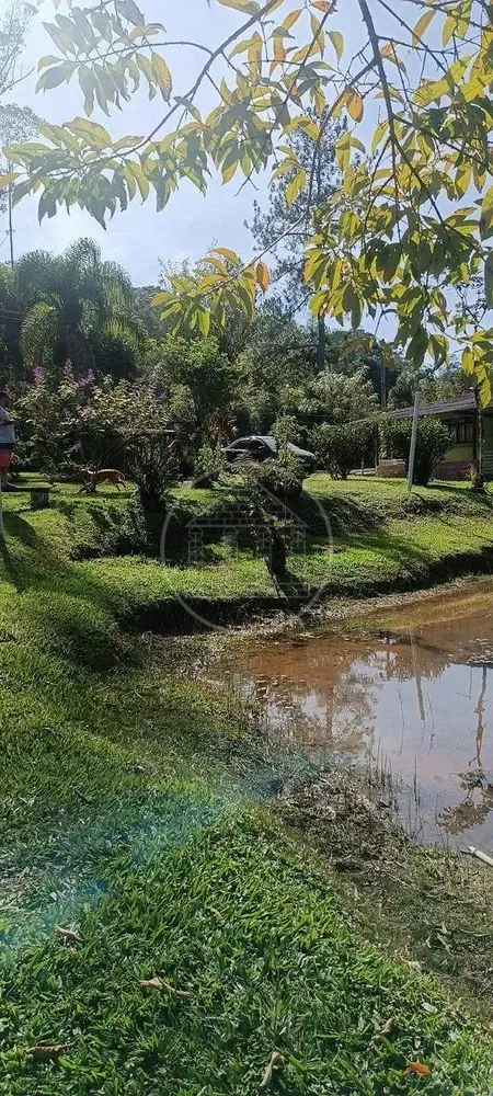 Chácara, 4 quartos, 4500 m² - Foto 6