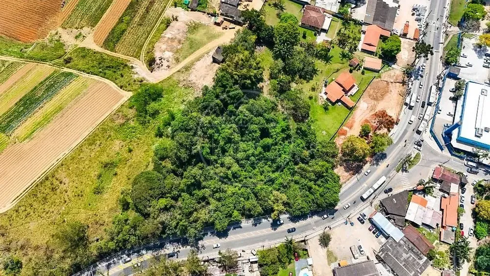 Terreno, 6600 m² - Foto 6