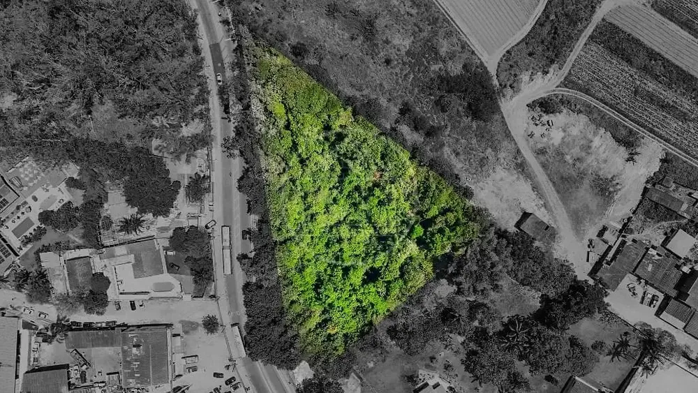 Terreno, 6600 m² - Foto 3