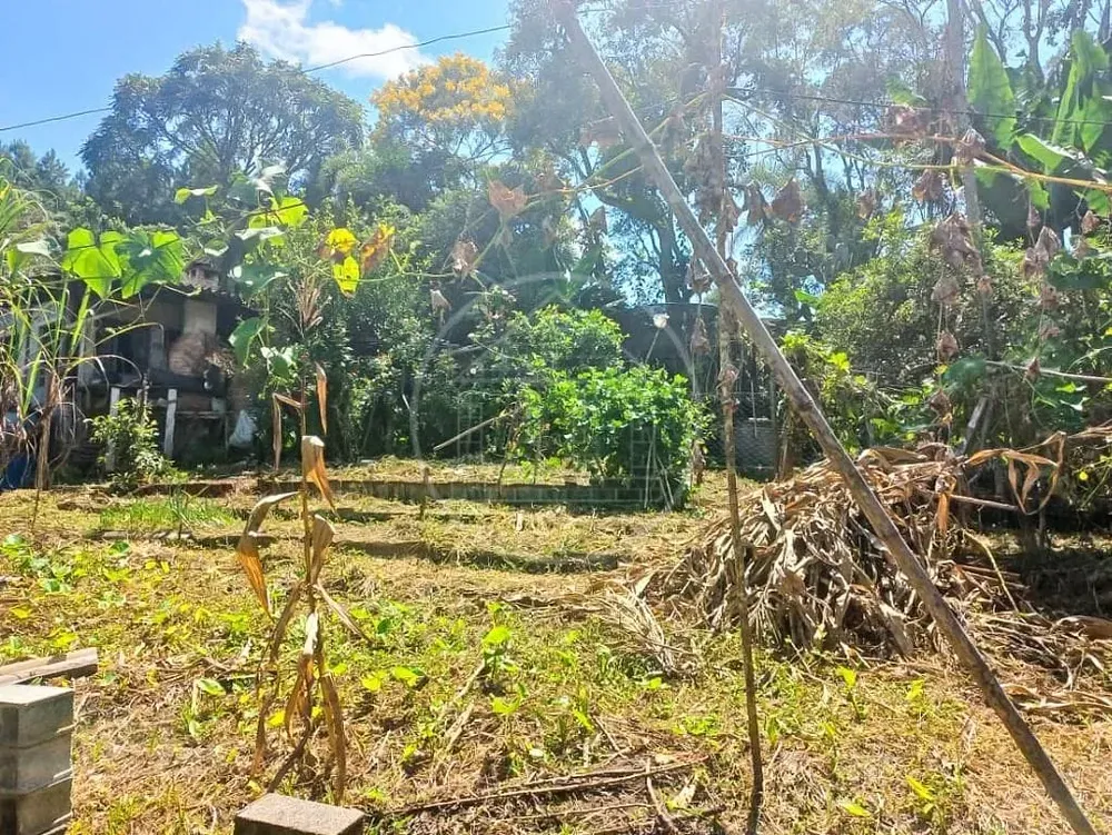 Chácara, 2 quartos, 1400 m² - Foto 5