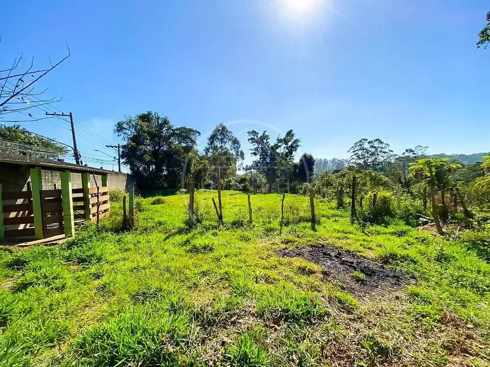 Chácara, 4 quartos, 5470 m² - Foto 9