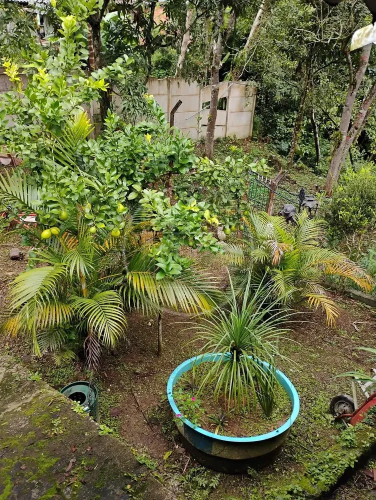 Chácara, 3 quartos, 1000 m² - Foto 5