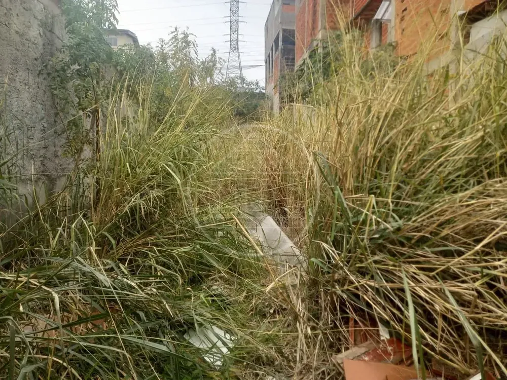 Terreno, 235 m² - Foto 5