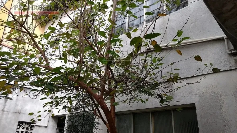 Casa, 2 quartos, 63 m² - Foto 2