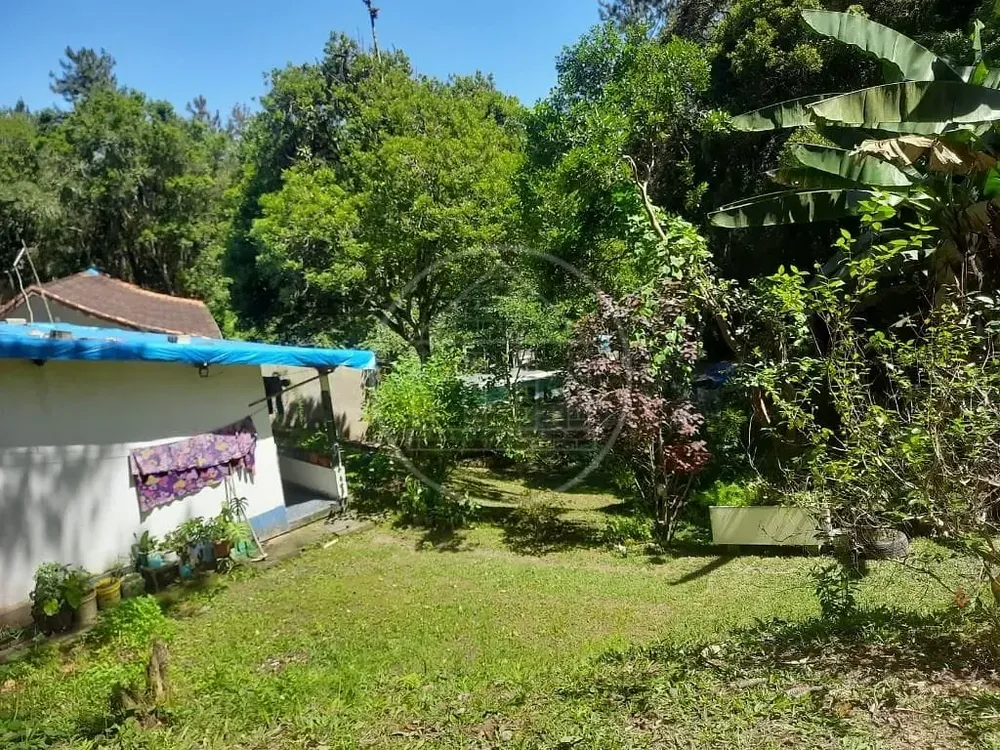 Sítio, 3 quartos, 3650 m² - Foto 10