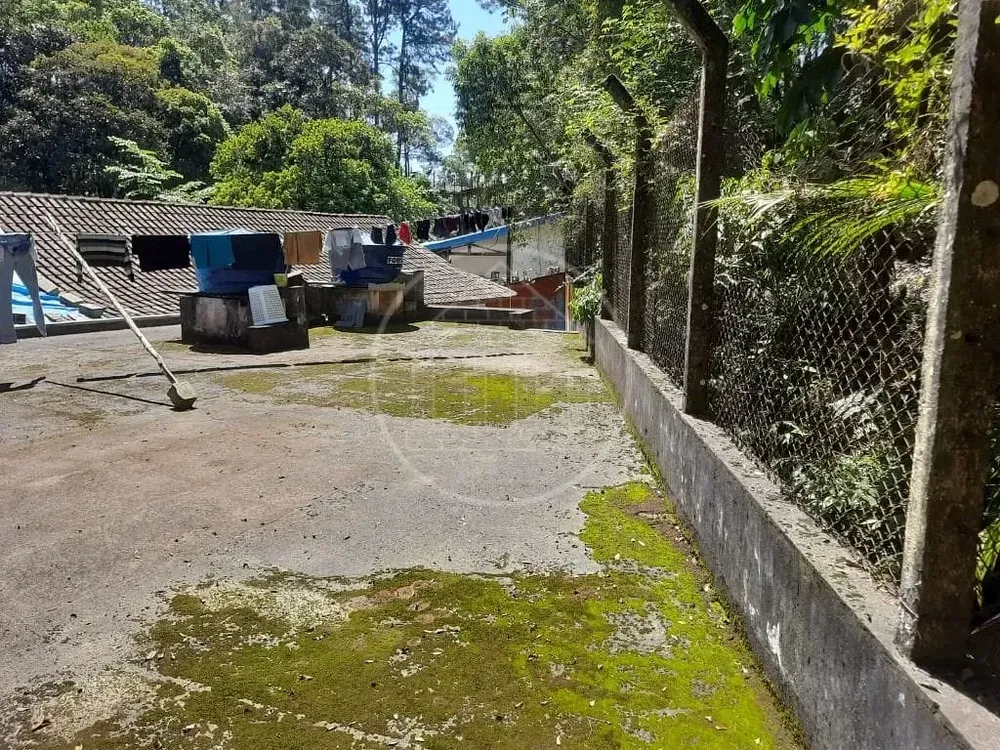 Sítio, 3 quartos, 3650 m² - Foto 14