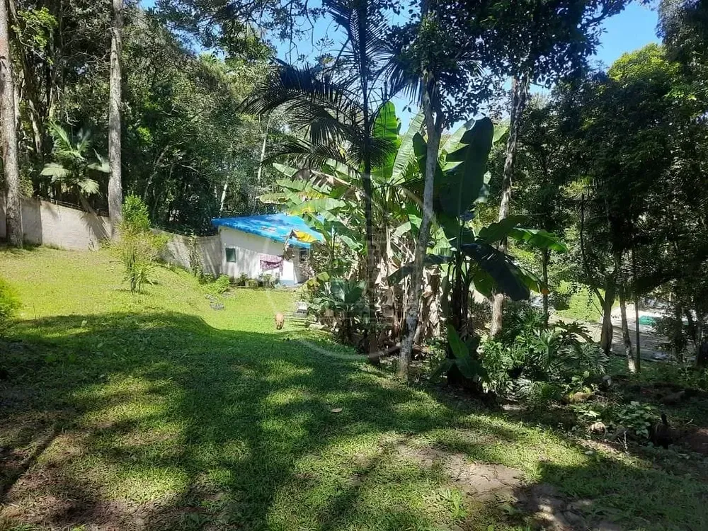 Sítio, 3 quartos, 3650 m² - Foto 7