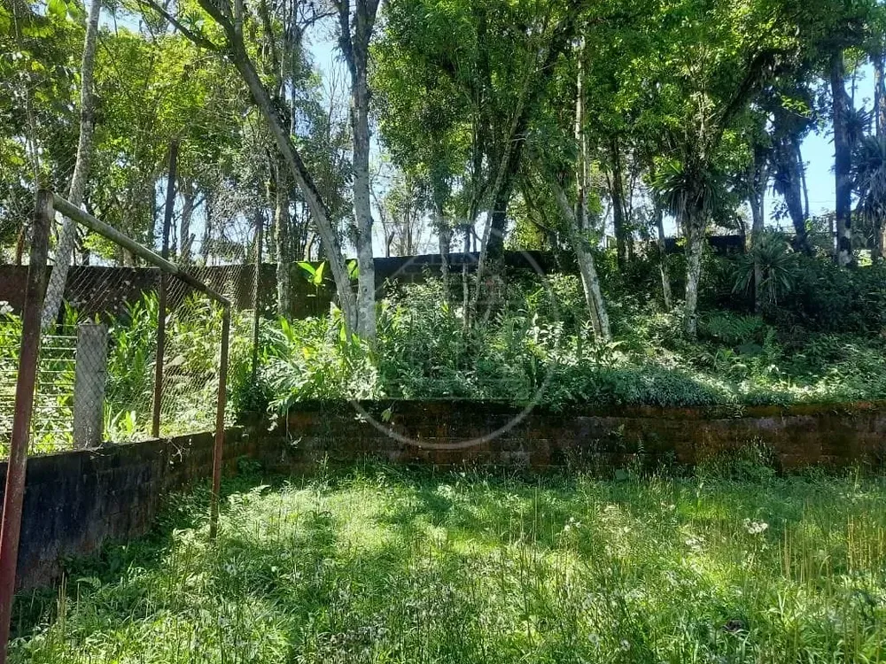 Sítio, 3 quartos, 3650 m² - Foto 11