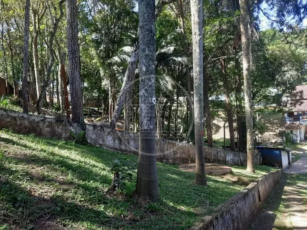 Sítio, 3 quartos, 3650 m² - Foto 13