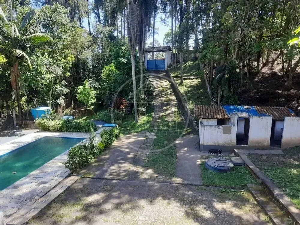 Sítio, 3 quartos, 3650 m² - Foto 3