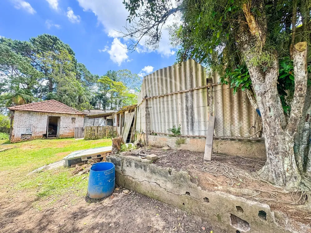 Sítio, 4 quartos, 4 hectares - Foto 7