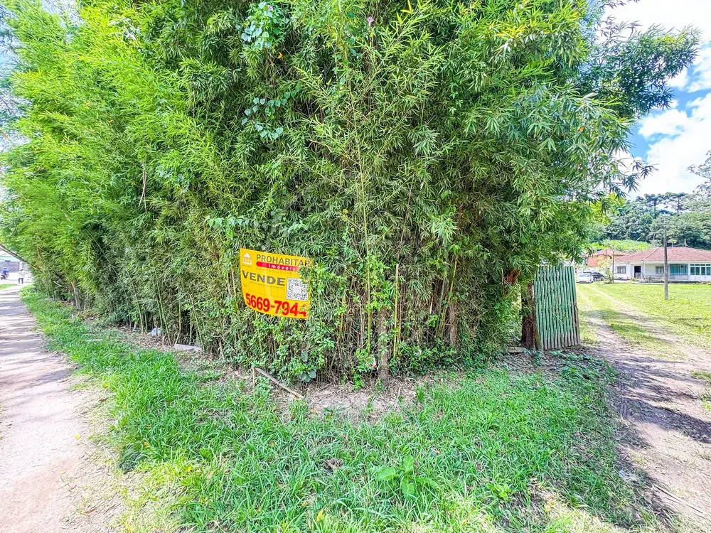 Sítio, 4 quartos, 4 hectares - Foto 8
