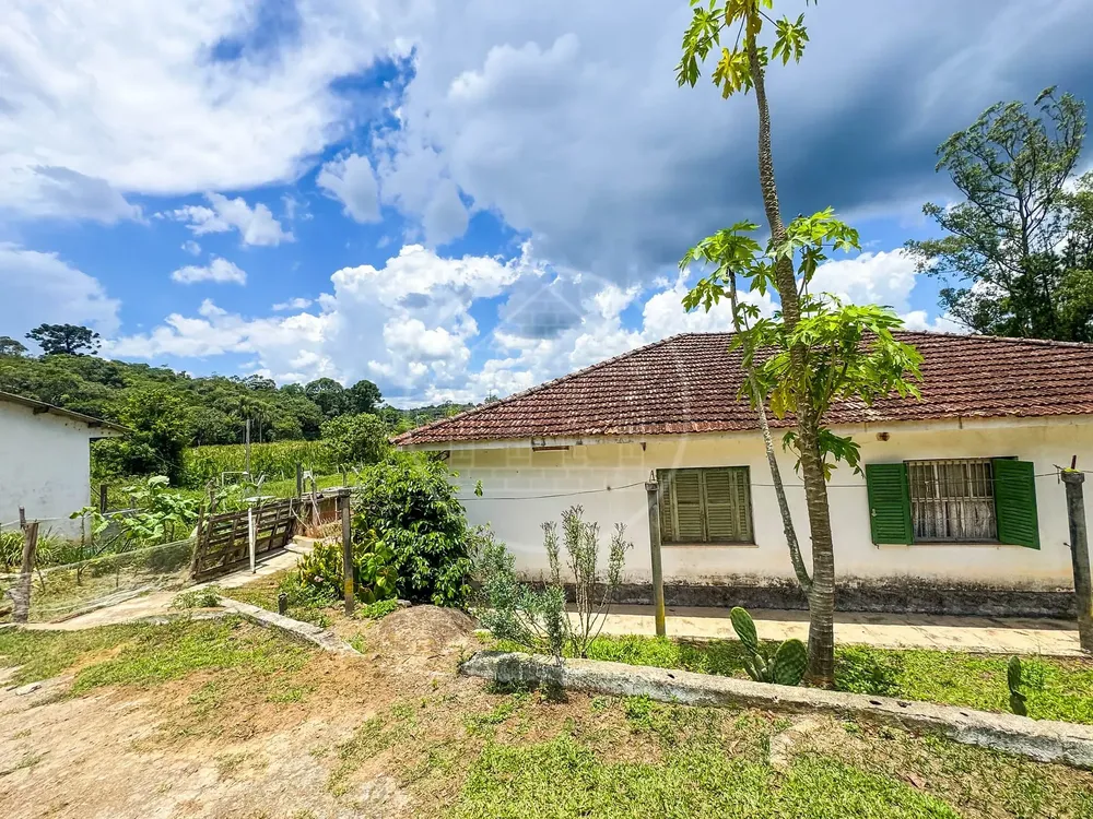 Sítio, 4 quartos, 4 hectares - Foto 4