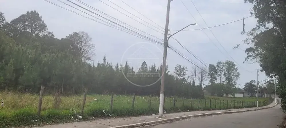 Terreno, 3 hectares - Foto 4
