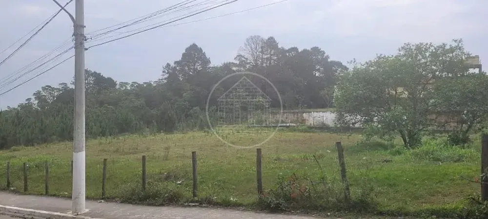 Terreno, 3 hectares - Foto 7