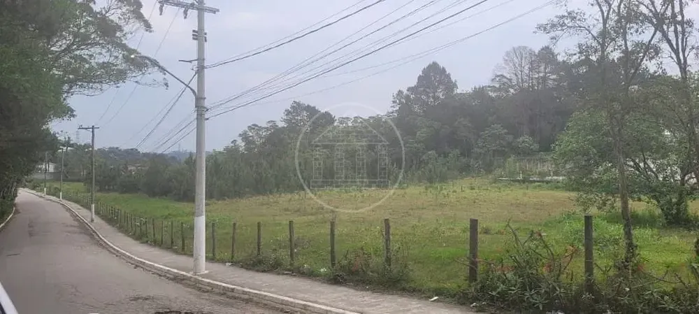 Terreno, 3 hectares - Foto 9