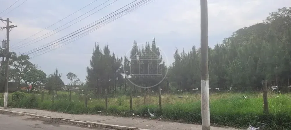 Terreno, 3 hectares - Foto 6