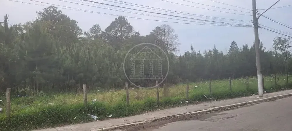 Terreno, 3 hectares - Foto 2