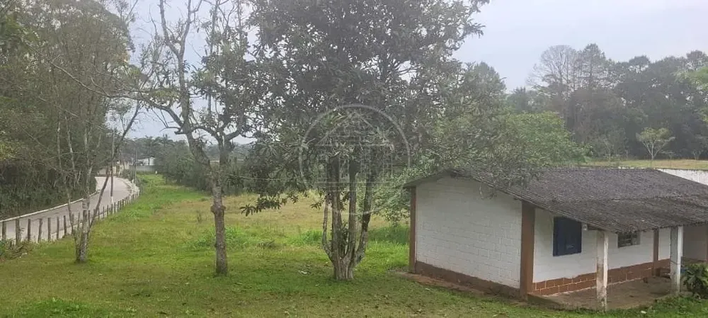 Terreno, 3 hectares - Foto 1