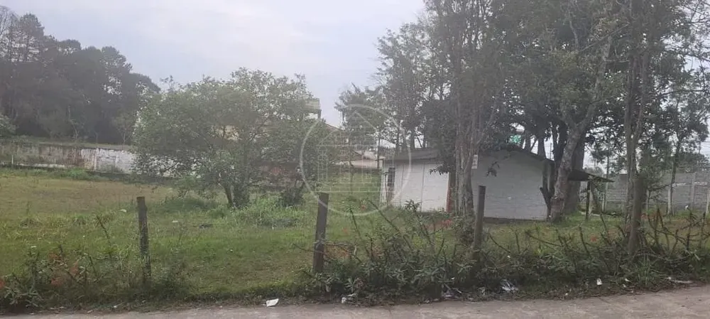 Terreno, 3 hectares - Foto 8