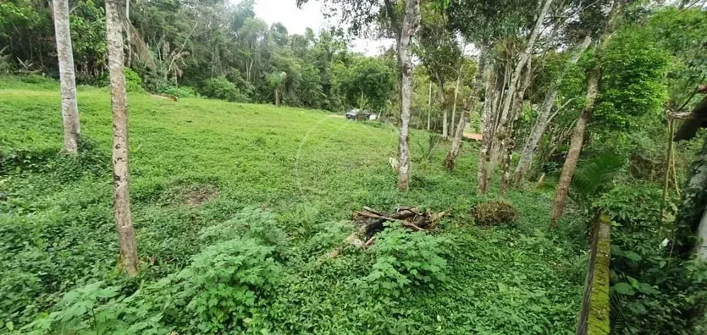Terreno, 1200 m² - Foto 2