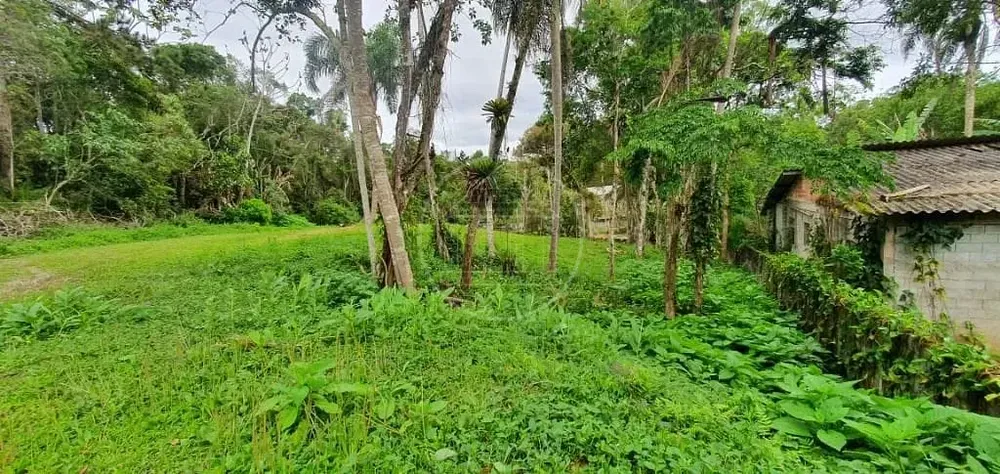 Terreno, 1200 m² - Foto 3