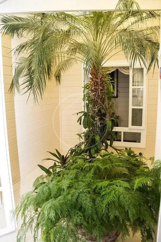 Casa, 4 quartos, 508 m² - Foto 6