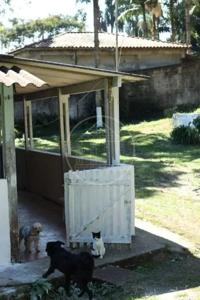 Chácara, 5 quartos, 1 hectares - Foto 6