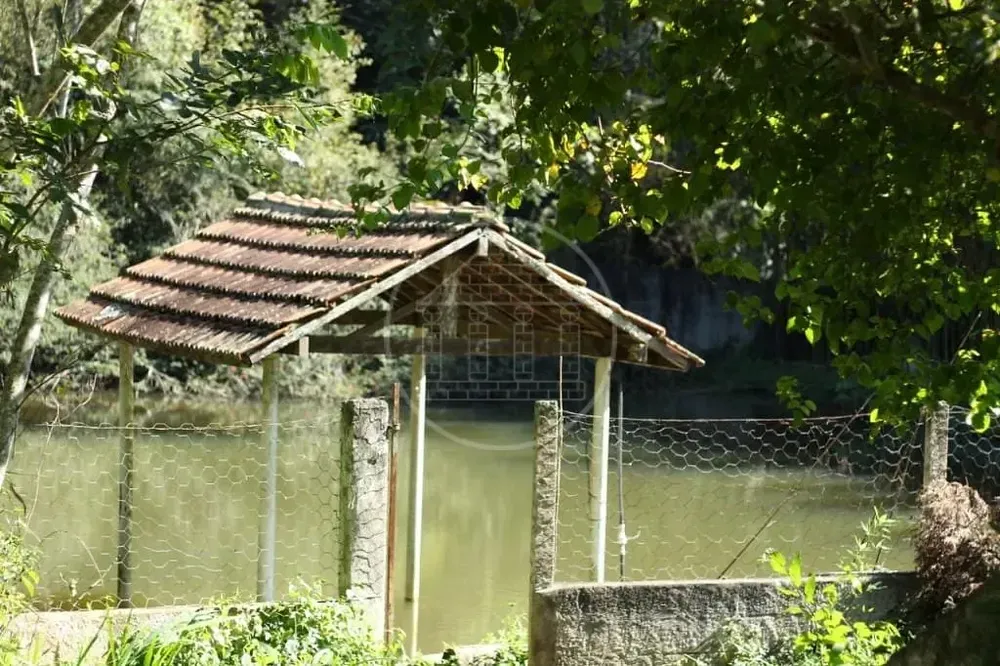 Chácara, 5 quartos, 1 hectares - Foto 1
