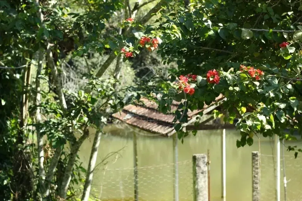 Chácara, 5 quartos, 1 hectares - Foto 8