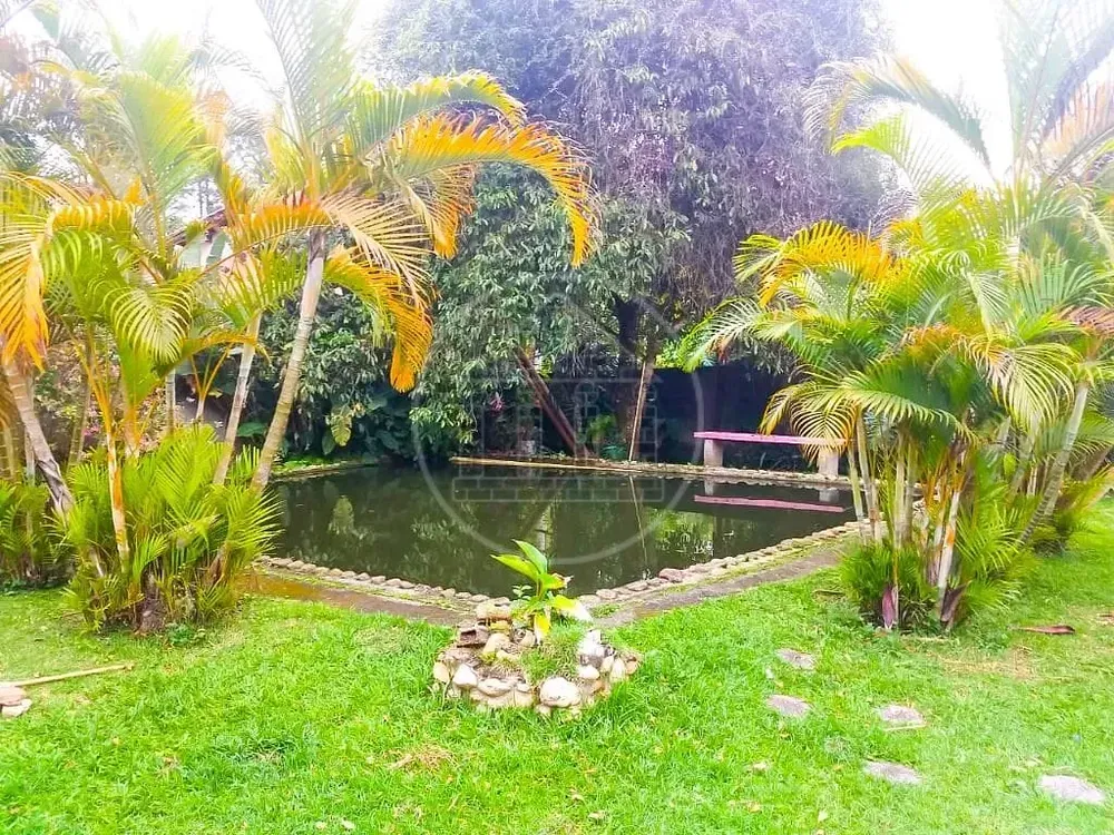 Chácara, 3 quartos, 1000 m² - Foto 7