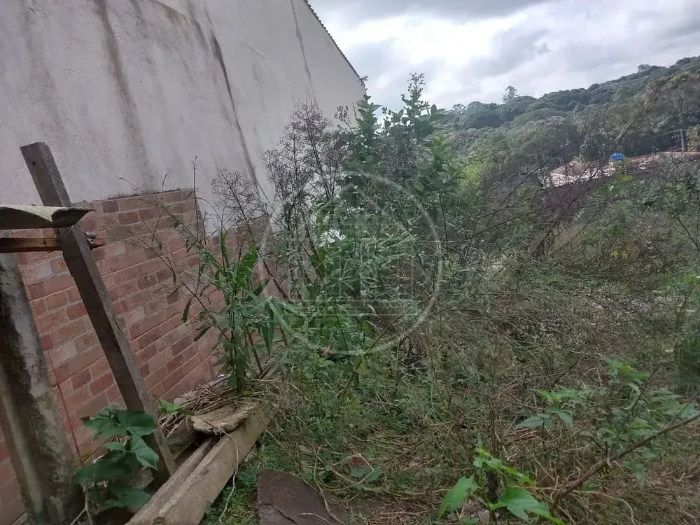 Terreno, 250 m² - Foto 6