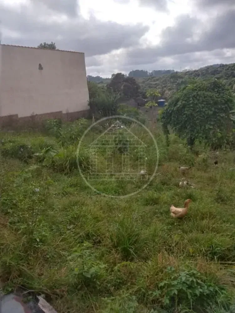 Terreno, 250 m² - Foto 3