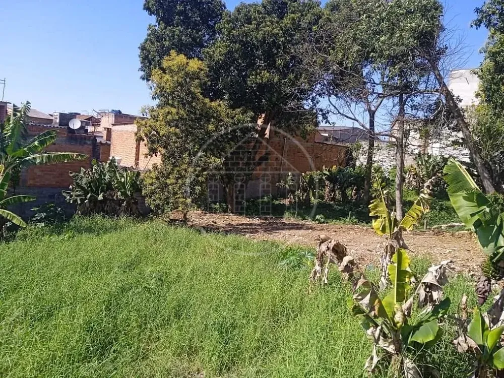 Terreno, 3300 m² - Foto 2
