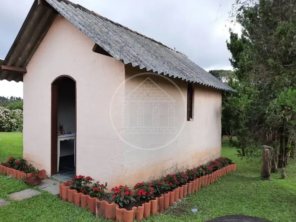 Chácara, 2 quartos, 4110 m² - Foto 7