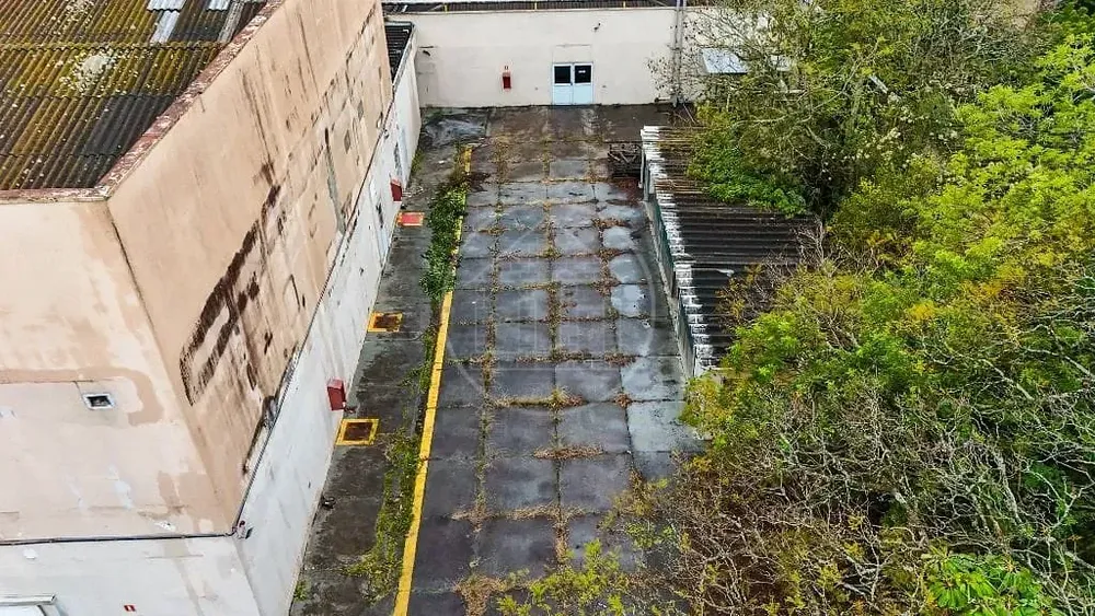 Terreno, 10000 m² - Foto 4