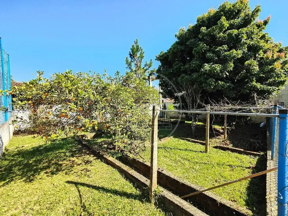 Casa, 5 quartos, 250 m² - Foto 9