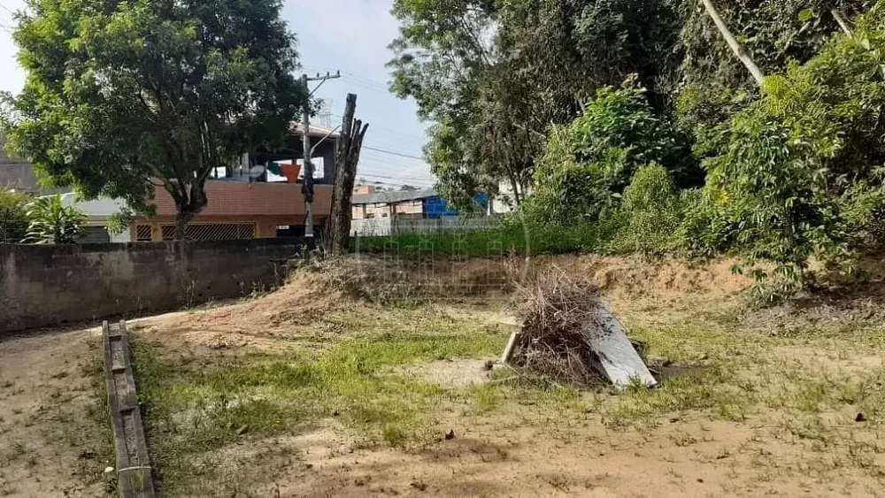 Terreno, 25 hectares - Foto 5