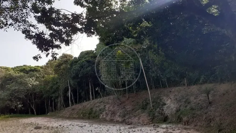 Terreno, 25 hectares - Foto 8