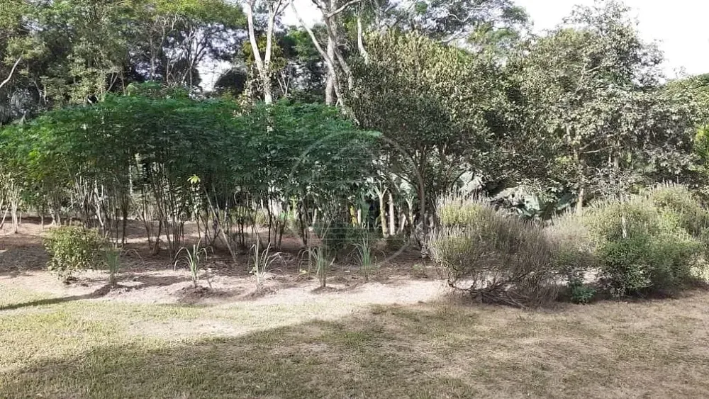 Terreno, 25 hectares - Foto 3