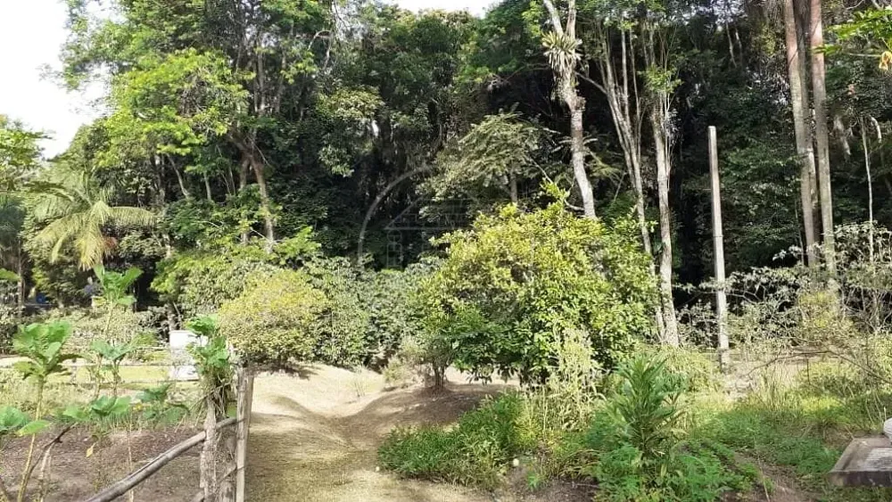 Terreno, 25 hectares - Foto 7