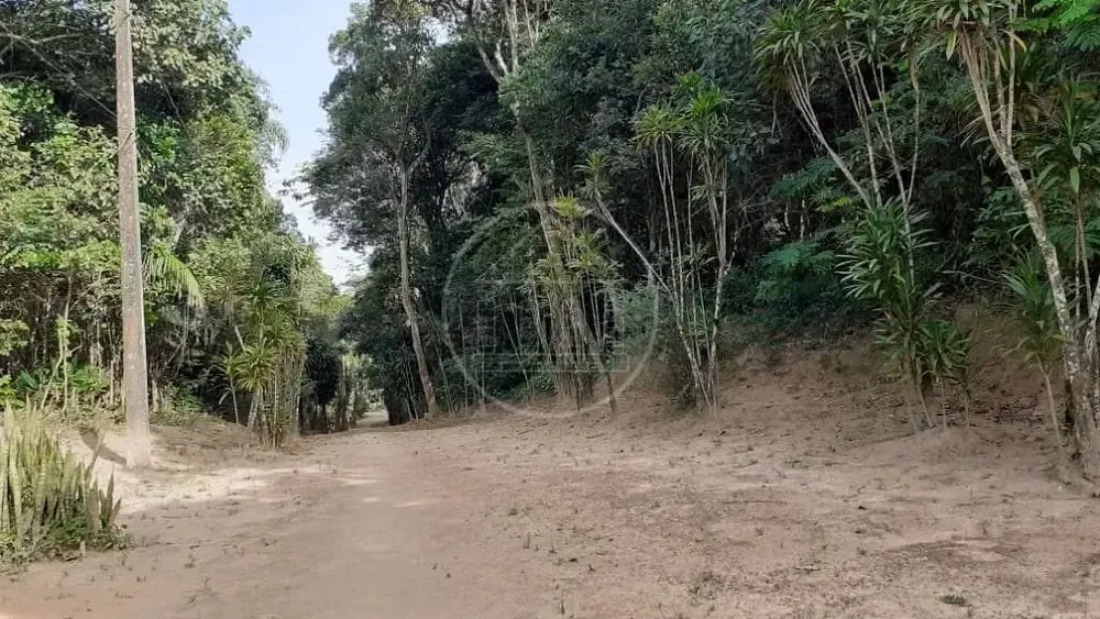 Terreno, 25 hectares - Foto 6