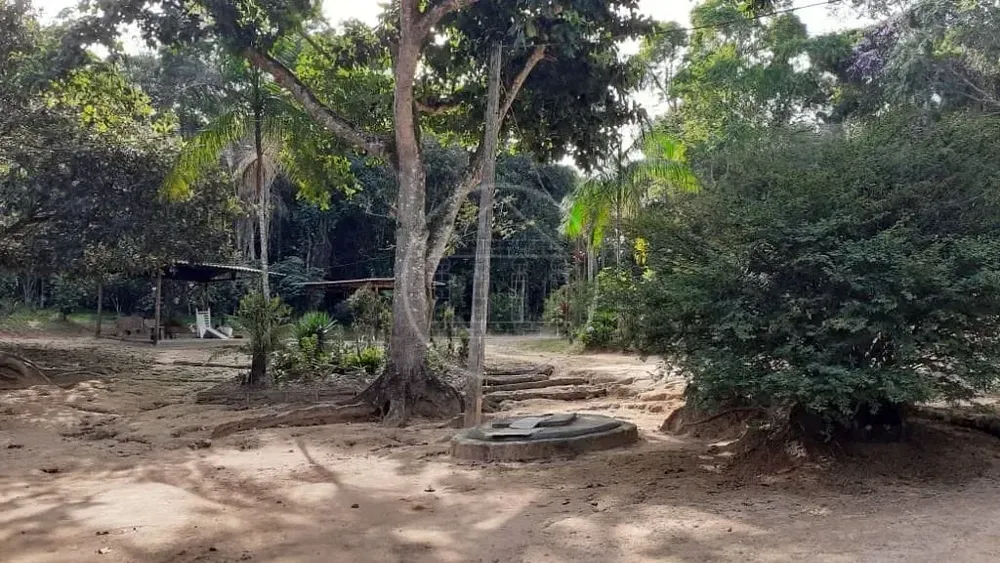 Terreno, 25 hectares - Foto 6