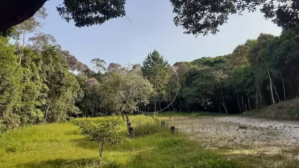 Terreno, 25 hectares - Foto 10