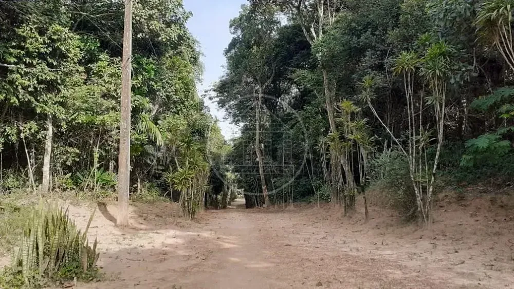 Terreno, 25 hectares - Foto 13