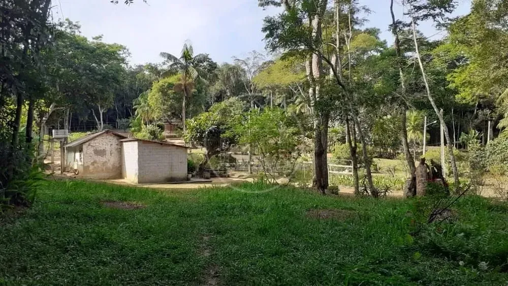 Terreno, 25 hectares - Foto 8