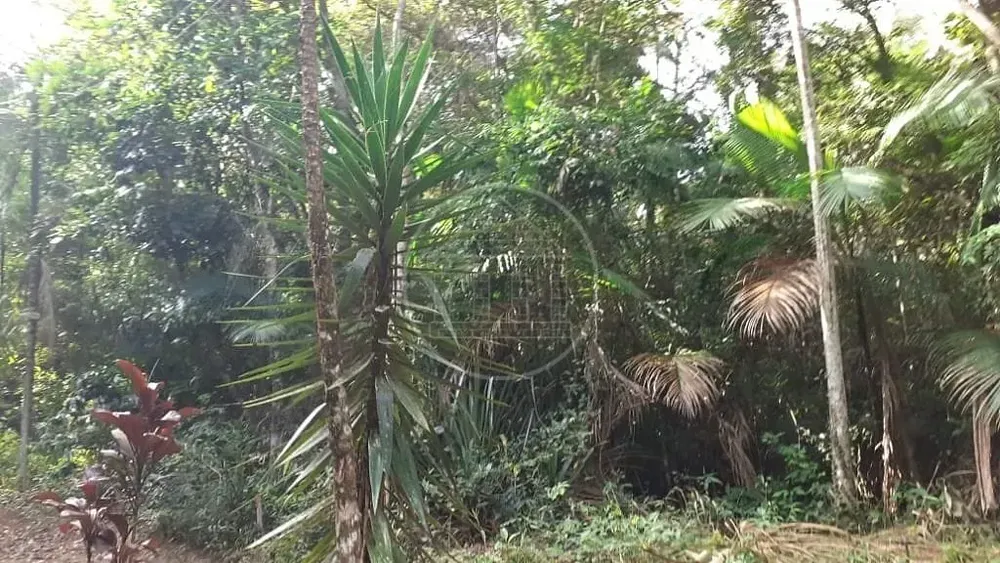 Terreno, 25 hectares - Foto 12