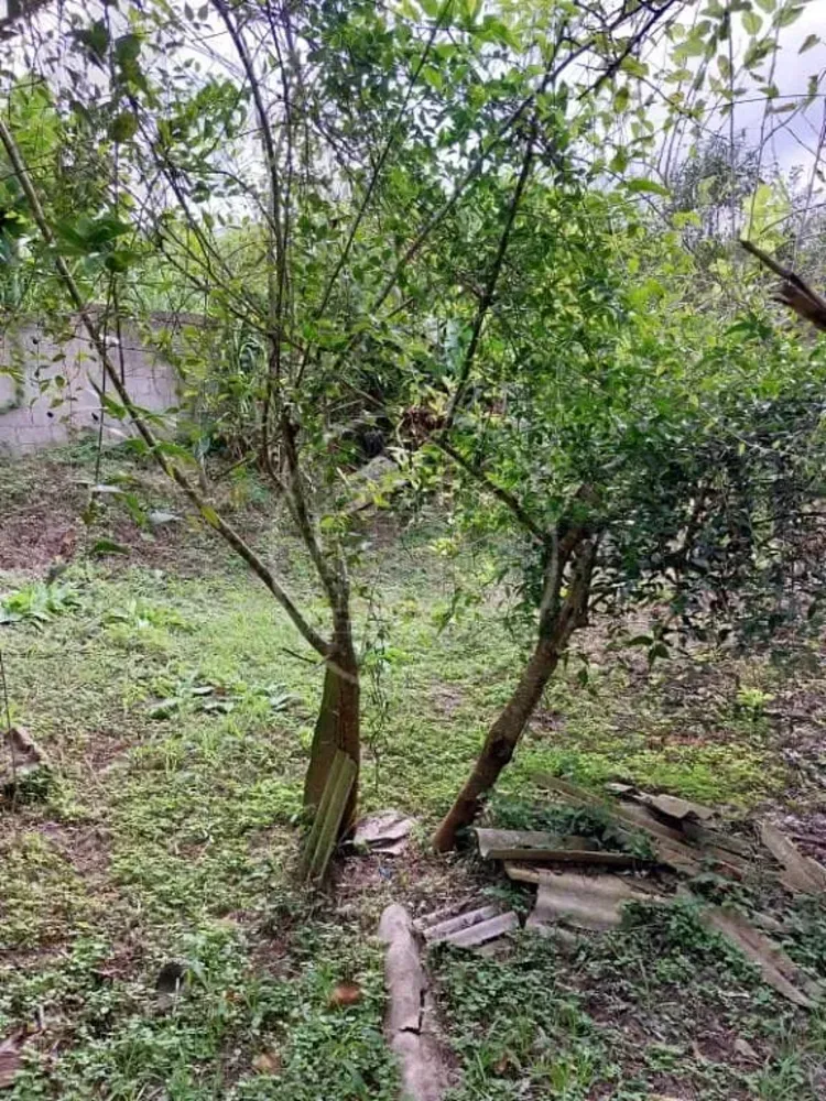 Terreno, 730 m² - Foto 5